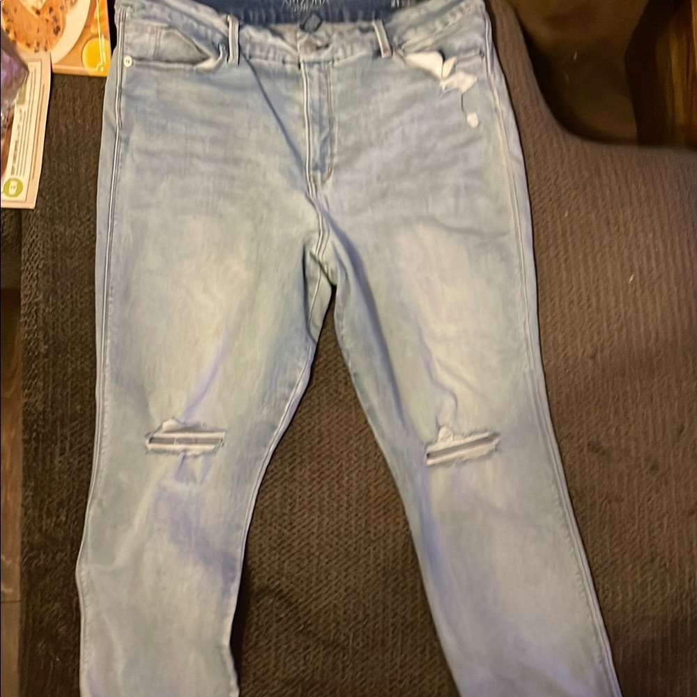 Arizona Blue hi rise curvy skinny Distressed Jeans